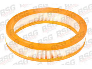 BSG BSG 30-135-013 oro filtras 
 Filtrai -> Oro filtras
11476787, 1426741, 1476787, 1503832