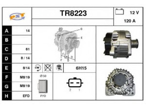 SNRA TR8223 kintamosios srovės generatorius
8200849752