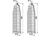 MOOG K150191 gofruotoji membrana, vairavimas 
 Vairavimas -> Gofruotoji membrana/sandarinimai
1609109, 26059295, 1609109, 26059295