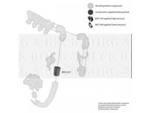 BORG & BECK BTH1257 kompresoriaus padavimo žarna 
 Išmetimo sistema -> Turbokompresorius
0382P1, 0382P1, 0382.P1