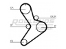 ROULUNDS RUBBER RR1452 paskirstymo diržas 
 Techninės priežiūros dalys -> Papildomas remontas
0816E5, 98419390, 99456476, 98419390