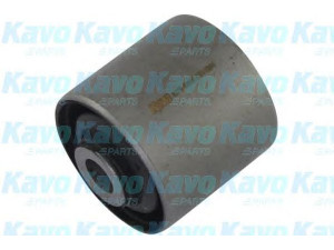 KAVO PARTS SCR-5535 valdymo svirties/išilginių svirčių įvorė 
 Ašies montavimas/vairavimo mechanizmas/ratai -> Valdymo svirtis/pasukamosios svirties sujungimas -> Montavimas/sutvirtinimas
MR353951