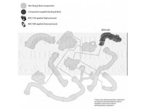 BORG & BECK BTH1281 kompresoriaus padavimo žarna 
 Išmetimo sistema -> Turbokompresorius
8200164191, 8200218988