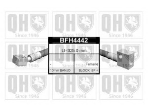 QUINTON HAZELL BFH4442 stabdžių žarnelė 
 Stabdžių sistema -> Stabdžių žarnelės
FBH 6338, 5 62 344, 90 236 355