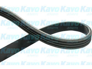 KAVO PARTS DMV-9066 V formos rumbuoti diržai