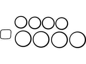 REINZ 11-76240-01 tarpiklių rinkinys, įsiurbimo kolektorius 
 Variklis -> Cilindrų galvutė/dalys -> Įsiurbimo kolektoriaus tarpiklis/sandarinimo žiedas
9649829580 (4x), 9649829380 (4x)
