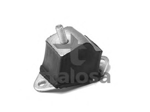 TALOSA 61-05161 variklio montavimas 
 Variklis -> Variklio montavimas -> Variklio montavimo rėmas
7704001320