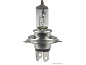 HERTH+BUSS ELPARTS 89901101 lemputė, prožektorius; lemputė, priekinis žibintas; lemputė, rūko žibintas; lemputė, priekinis žibintas 
 Kėbulas -> Pagalbiniai žibintai/dalys -> Prožektorius/dalys -> Lemputė, prožektorius