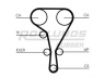 ROULUNDS RUBBER RR1098 paskirstymo diržas 
 Techninės priežiūros dalys -> Papildomas remontas
4408392, 4412355, 4416576, 91159999