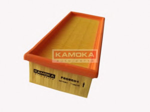 KAMOKA F209601 oro filtras 
 Filtrai -> Oro filtras
17200-P9M-E00, 17220-P5T-G00, C 40749