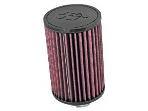 K&N Filters E-1988 oro filtras