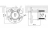 TREVI AUTOMOTIVE WB1701 rato guolio komplektas 
 Ašies montavimas/vairavimo mechanizmas/ratai -> Rato stebulė/montavimas -> Rato guolis
1604314, 93170611