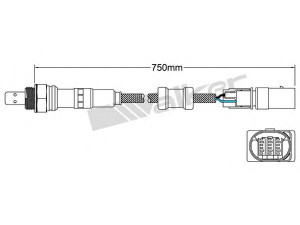 WALKER PRODUCTS 800-95026 lambda jutiklis 
 Variklis -> Variklio elektra
51799398, 51799398, 51887522, 4710677