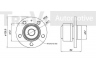 TREVI AUTOMOTIVE WB1661 rato guolio komplektas 
 Ašies montavimas/vairavimo mechanizmas/ratai -> Rato stebulė/montavimas -> Rato guolis
6Q0407621AJ, 6Q0407621AJ, 6Q0407621AJ