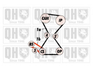 QUINTON HAZELL QTB194 paskirstymo diržas 
 Techninės priežiūros dalys -> Papildomas remontas
VT116, MD071052, MD095266, MD102250