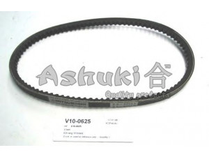 ASHUKI V10-0625 oro filtras 
 Filtrai -> Oro filtras
06C 133 843, 6281MC/GATES, 80911-0490