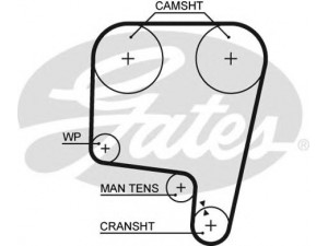 GATES 5340 paskirstymo diržas 
 Techninės priežiūros dalys -> Papildomas remontas
60500466, 60807898, 60500466, 60500466B