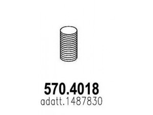 ASSO 570.4018 lanksti žarna, išmetimo sistema 
 Išmetimo sistema -> Išmetimo vamzdžiai
1487830