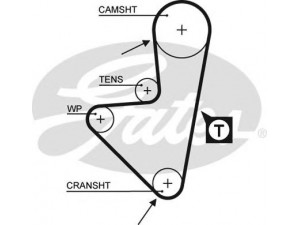 GATES 5127XS paskirstymo diržas 
 Techninės priežiūros dalys -> Papildomas remontas
0816.56, 081656, 94560702, 96029000