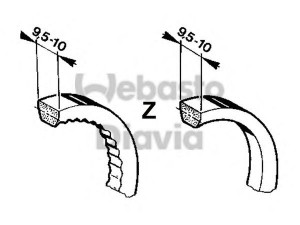 WEBASTO 82D012076A paskirstymo diržas