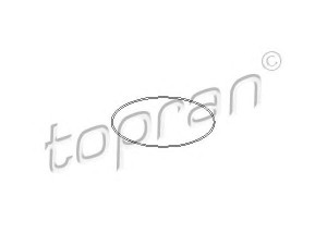 TOPRAN 722 203 O žiedas, cilindro sraigtinė įvorė 
 Variklis -> Cilindrai/stūmokliai
0112 78, 0112 A7, 0112 78, 0112 A7