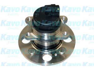 KAVO PARTS WBH-3003 rato guolio komplektas