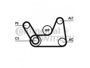 CONTITECH 6PK1019 ELAST T1 V formos rumbuotas diržas, komplektas 
 Techninės priežiūros dalys -> Techninės priežiūros intervalai
1143407, 1253583, 1365336, 2S6E-6C301-CA