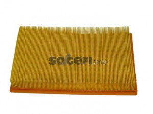 FRAM CA5397 oro filtras 
 Filtrai -> Oro filtras
A840X9601ACA, 1444Q3, 4036063, 4236063