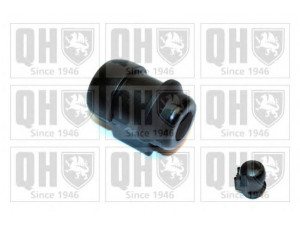 QUINTON HAZELL EMB2122 skersinio stabilizatoriaus įvorių komplektas 
 Ašies montavimas/vairavimo mechanizmas/ratai -> Stabilizatorius/fiksatoriai -> Sklendės
7700760130, 7700784170