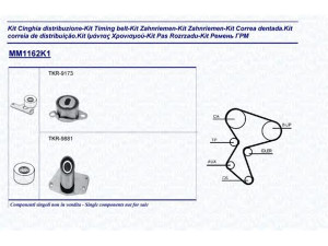 MAGNETI MARELLI 341311621101 paskirstymo diržo komplektas 
 Techninės priežiūros dalys -> Papildomas remontas