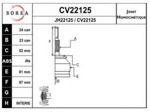 EAI CV22125K jungčių komplektas, kardaninis velenas