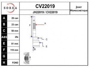 EAI CV22019K jungčių komplektas, kardaninis velenas