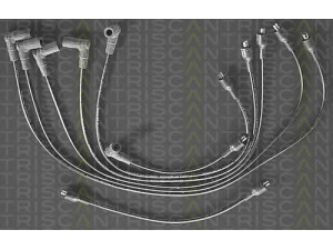 TRISCAN 8860 7226 uždegimo laido komplektas 
 Kibirkšties / kaitinamasis uždegimas -> Uždegimo laidai/jungtys