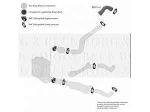 BORG & BECK BTH1141 kompresoriaus padavimo žarna 
 Išmetimo sistema -> Turbokompresorius
1J0145838E, 1J0145838E, 1J0145838E