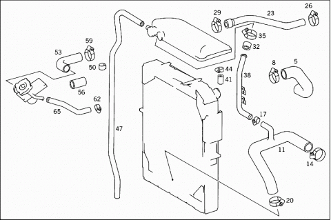 65036