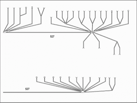 76038