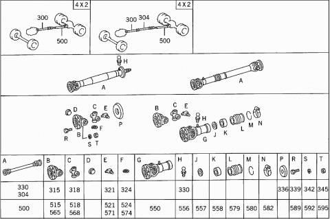 41556