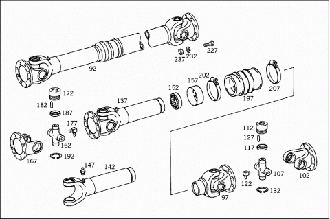 41081