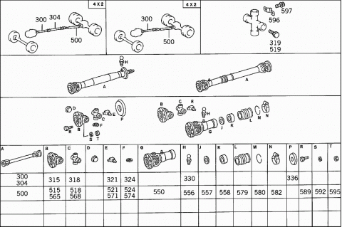 41561