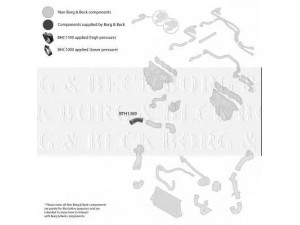 BORG & BECK BTH1389 kompresoriaus padavimo žarna
55352736, 5860826, 835037