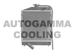 AUTOGAMMA 105651 radiatorius, variklio aušinimas
0123007