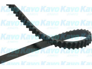 KAVO PARTS DTB-1011 paskirstymo diržas 
 Techninės priežiūros dalys -> Papildomas remontas
98014186