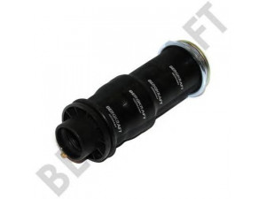 BERGKRAFT BK3012011 gofruotoji membrana, vairuotojo kabinos pakaba
1 381 919, 1 476 415, 1381919, 1476415