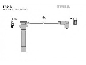 TESLA T251B uždegimo laido komplektas 
 Kibirkšties / kaitinamasis uždegimas -> Uždegimo laidai/jungtys
MD362276