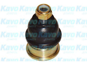 KAVO PARTS SBJ-3031 atramos/vairo trauklė 
 Ašies montavimas/vairavimo mechanizmas/ratai -> Sujungimai -> Atramos/vairo trauklė
54530M2000