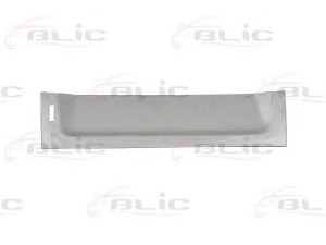 BLIC 6508-01-2515155P galinės durys 
 Kėbulas -> Transporto priemonės galas -> Galinės durys/dalys