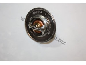 AUTOMEGA 301338037 termostatas, aušinimo skystis
133837, 133837