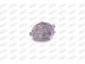 PRASCO RN3044603 priekinis žibintas 
 Kėbulas -> Priekinis žibintas/dalys -> Priekinis žibintas/įterp.
7700419308, 7701046212