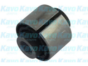 KAVO PARTS SCR-3107 valdymo svirties/išilginių svirčių įvorė 
 Ašies montavimas/vairavimo mechanizmas/ratai -> Valdymo svirtis/pasukamosios svirties sujungimas -> Montavimas/sutvirtinimas
551183R000