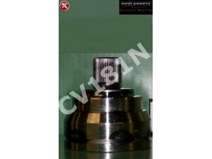 SHAFTEC CV181N jungtis, kardaninis velenas 
 Ratų pavara -> Sujungimai/komplektas